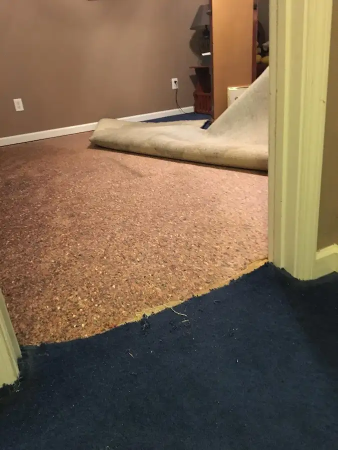 Carpet pad removal revealing water damage during Drying & Dehumidification in Kirkwood