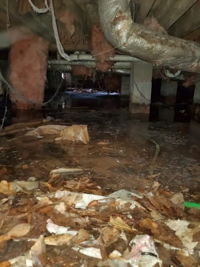 Crawl space flood assessment for Leak Detection & Repair in Kirkwood