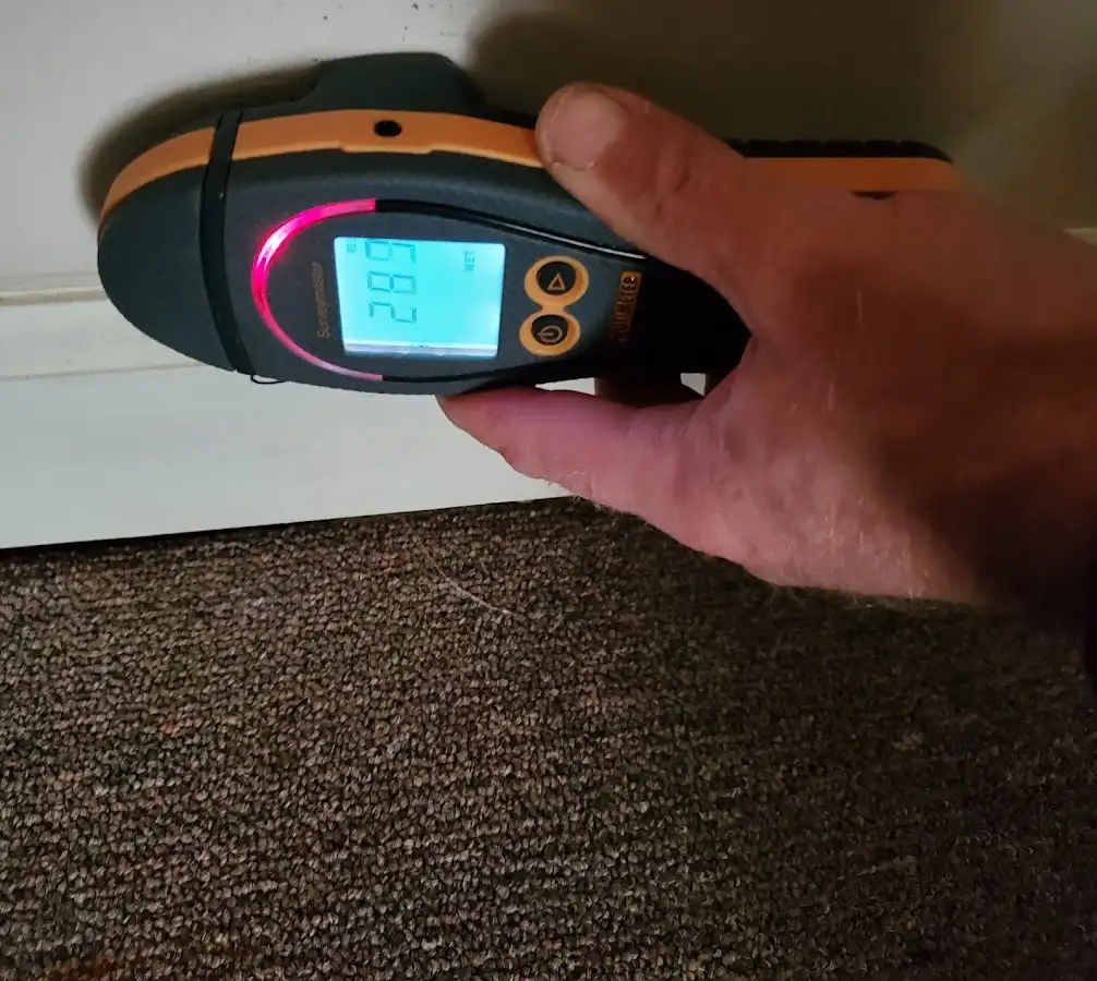 Moisture detection at baseboard during Mold Inspection & Testing in Kirkwood